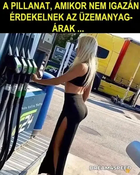 Vicces képek – 1740151677