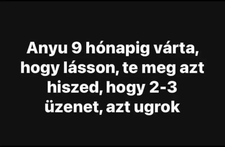 Vicces képek - 1740213989 Vicces képek – 1740213989