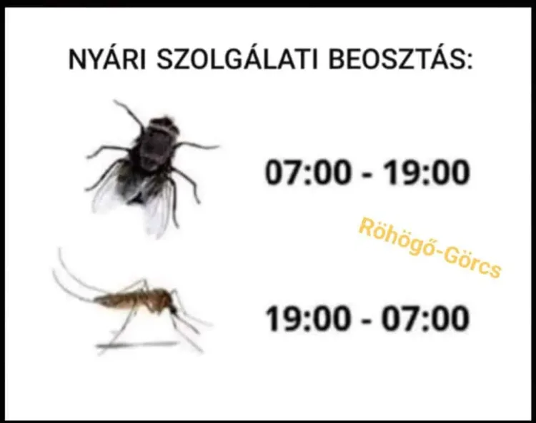 Vicces képek - 1740215357 Vicces képek – 1740215357