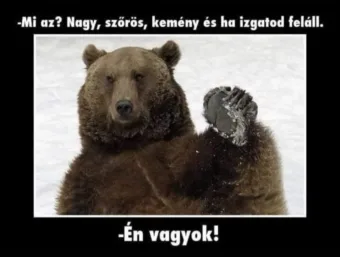 Vicces képek – 1740506406