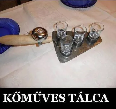 Vicces képek – 1740569400