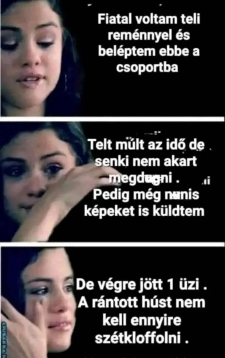 Vicces képek - 1740584913 Vicces képek – 1740584913
