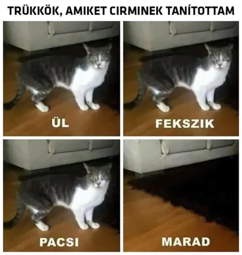 Vicces képek – 1740650502