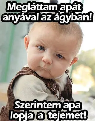 Vicces képek – 1740679208
