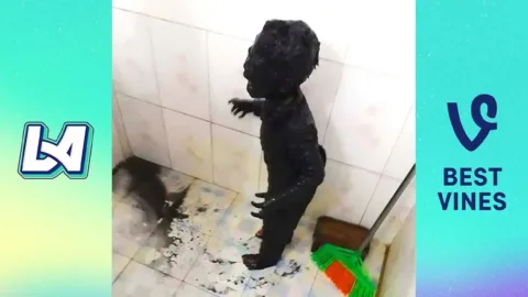 Vicces kudarc, amit elmulasztottál – próbálj meg nem nevetni vicces videókat
 – videó