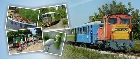 balatonfenyvesi kusvasut