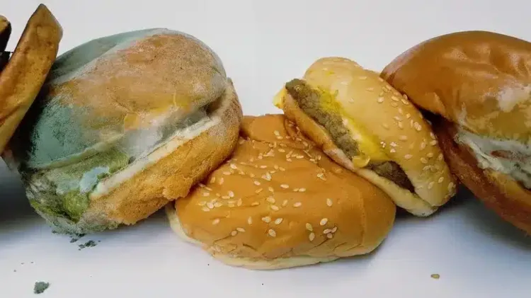 intro-1692293802 Szalmonellaveszély miatt hívott vissza hamburgert az Aldi