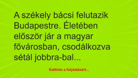 Vicc: A székely bácsi felutazik Budapestre. Életében először…