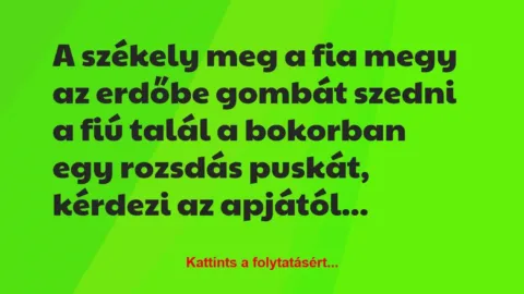 Vicc: A székely meg a fia megy az erdőbe gombát szedni a fiú…