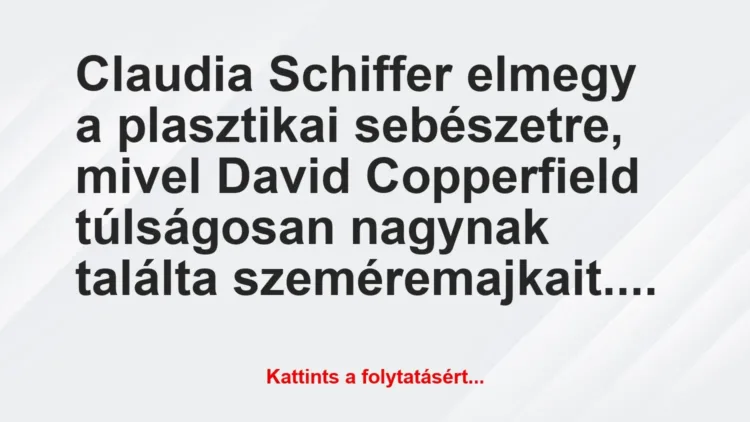 Vicc: Claudia Schiffer elmegy a plasztikai sebészetre, mivel David… Vicc: Claudia Schiffer elmegy a plasztikai sebészetre, mivel David…