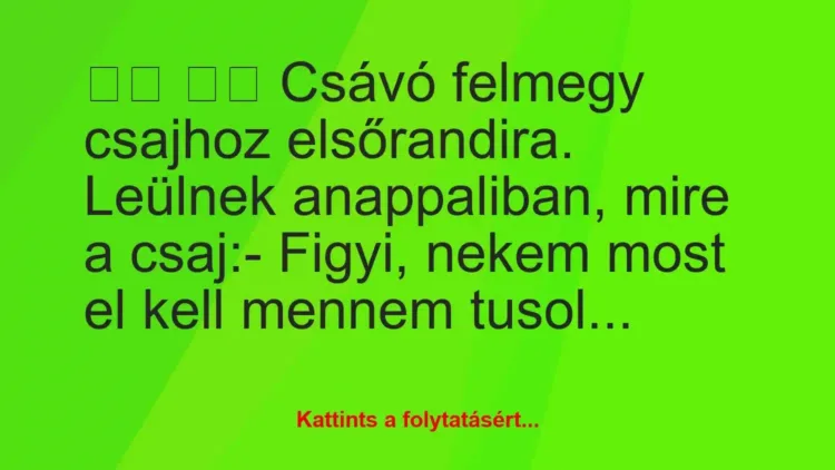 Vicc:
Csávó felmegy csajhoz elsőrandira. … Vicc:
Csávó felmegy csajhoz elsőrandira. …