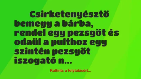 Vicc: 
	    	    Csirketenyésztő bemegy a bárba, rendel egy…