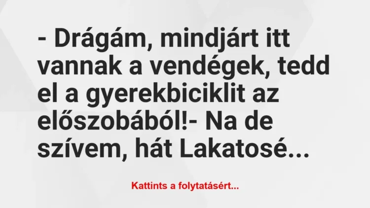 Vicc: – Drágám, mindjárt itt vannak a vendégek, tedd el a… Vicc: – Drágám, mindjárt itt vannak a vendégek, tedd el a…