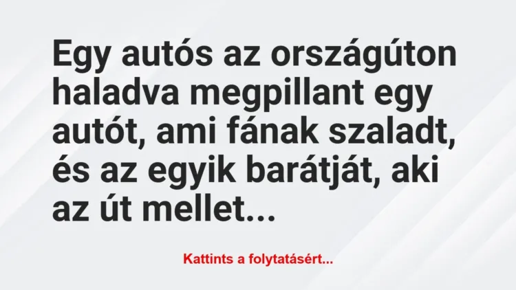 Vicc: Egy autós az országúton haladva megpillant egy autót,… Vicc: Egy autós az országúton haladva megpillant egy autót,…