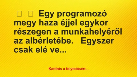 Vicc: 
	    	    Egy programozó megy haza éjjel egykor részegen a…
