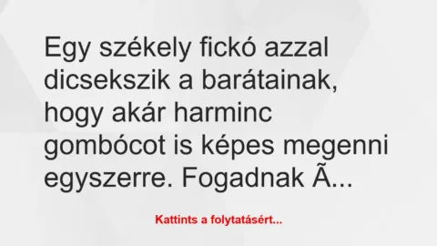 Vicc: Egy székely fickó azzal dicsekszik a barátainak, hogy akár harminc…