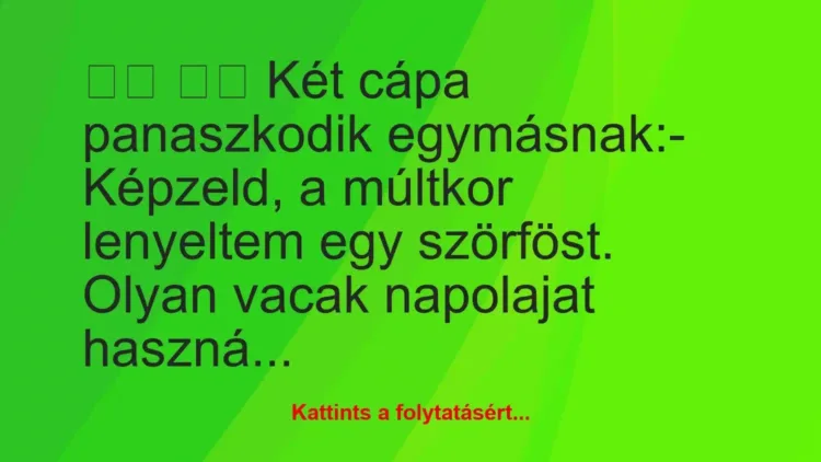 Vicc:
Két cápa panaszkodik egymásnak:- Képzeld, a… Vicc:
Két cápa panaszkodik egymásnak:- Képzeld, a…