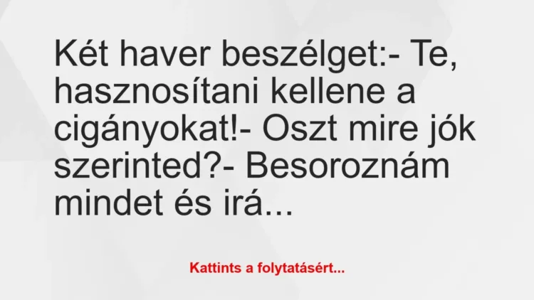 Vicc: Két haver beszélget: – Te, hasznosítani kellene a…