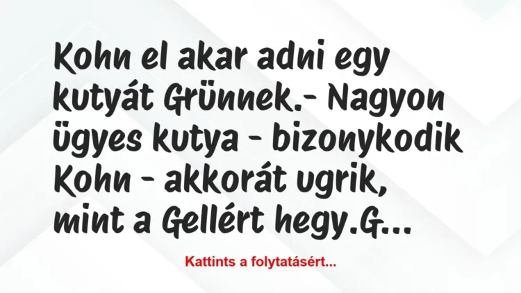 Vicc: Kohn el akar adni egy kutyát Grünnek.
– Nagyon ügyes kutya -… Vicc: Kohn el akar adni egy kutyát Grünnek.
– Nagyon ügyes kutya -…