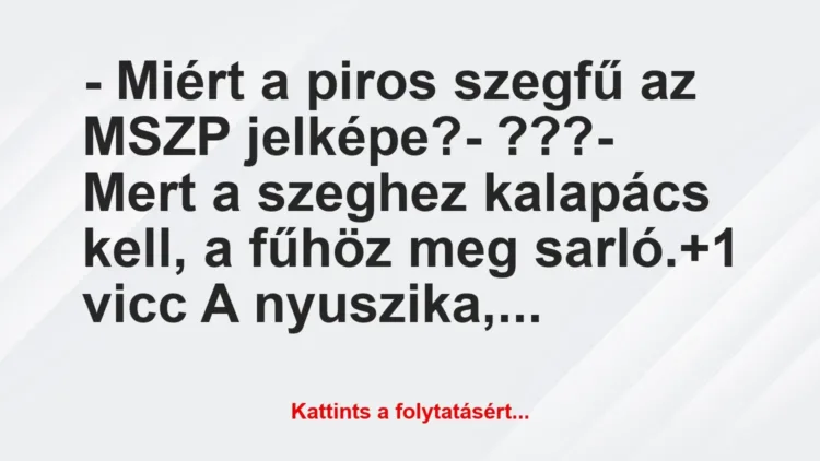 Vicc: – Miért a piros szegfű az MSZP jelképe?
-… Vicc: – Miért a piros szegfű az MSZP jelképe?
-…