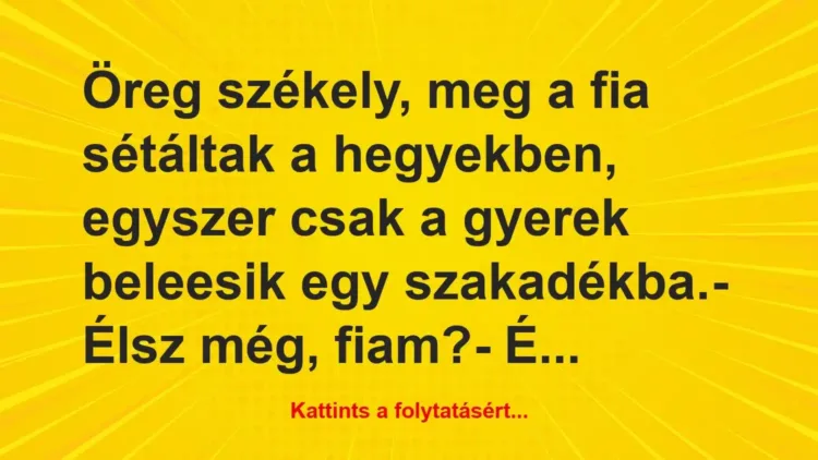 Vicc: Öreg székely, meg a fia sétáltak a hegyekben, egyszer… Vicc: Öreg székely, meg a fia sétáltak a hegyekben, egyszer…