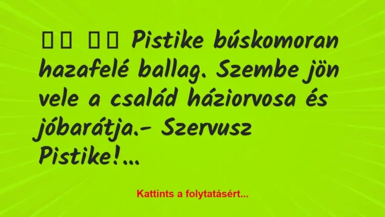 Vicc:
Pistike búskomoran hazafelé ballag. Szembe jön… Vicc:
Pistike búskomoran hazafelé ballag. Szembe jön…