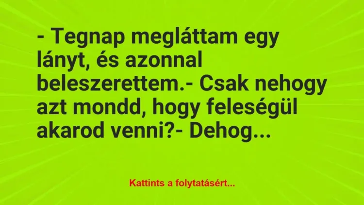 Vicc: – Tegnap megláttam egy lányt, és azonnal… Vicc: – Tegnap megláttam egy lányt, és azonnal…