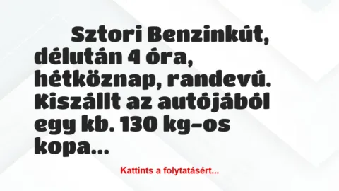 Vicces történet: 
	    	    Sztori


Benzinkút, délután 4 óra,…