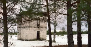 Rejtvény: Megtalálod a képen lévő mesterlövészt? Nem mindenki képes erre