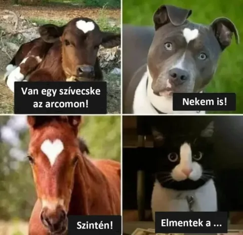 ]