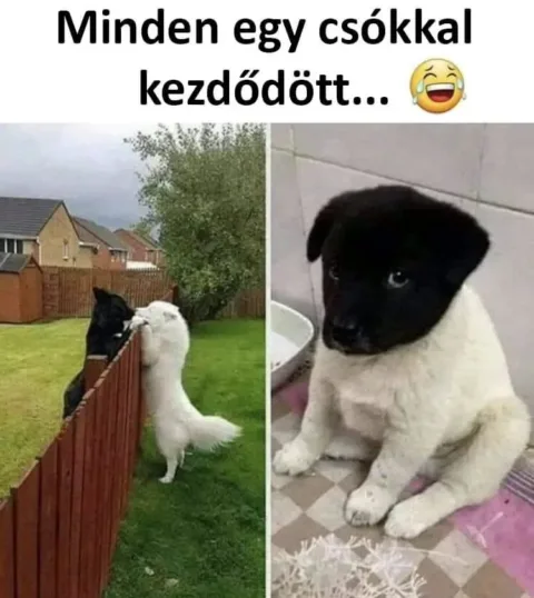 ]