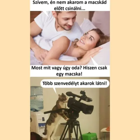 ]