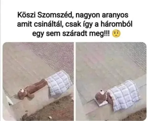 ]