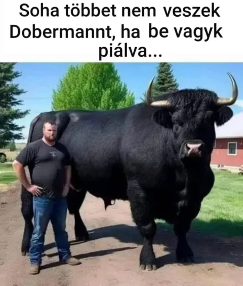]