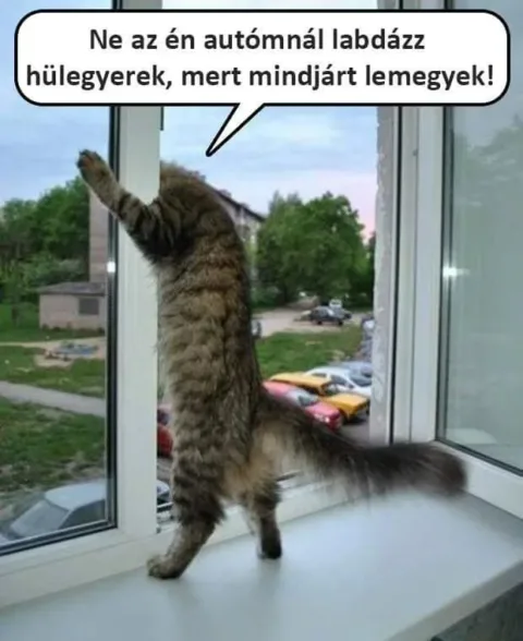 ]