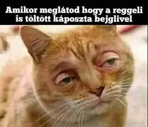 ]