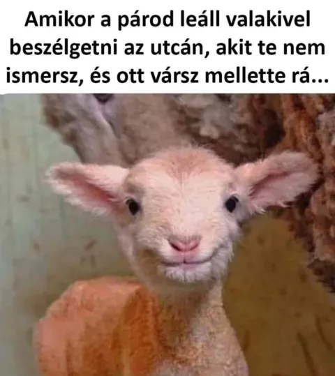 ]