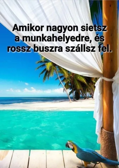. .