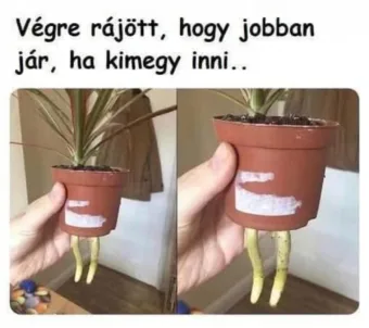 ]