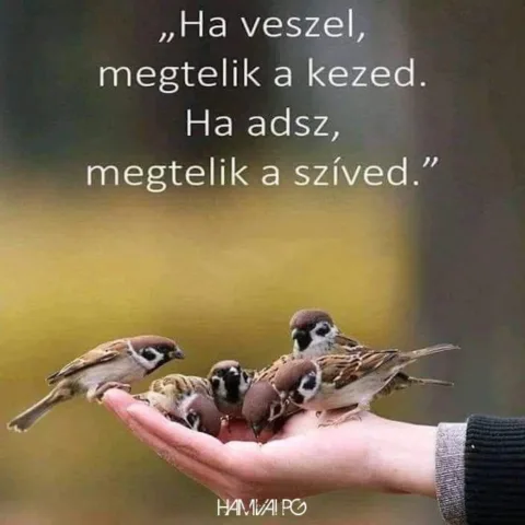 . .