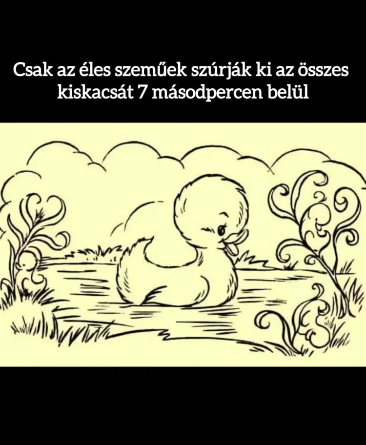 Csak az éles szeműek szúrják ki az összes kiskacsát 7