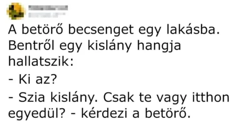 Vicc: A betörő becsenget egy lakásba