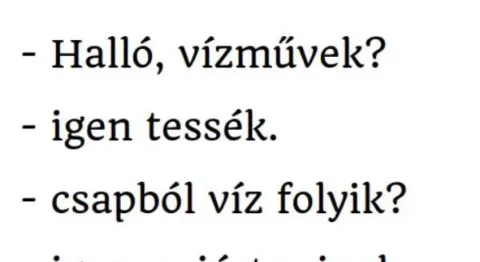 Vicc: A dühös férfi felhívja a vízműveket