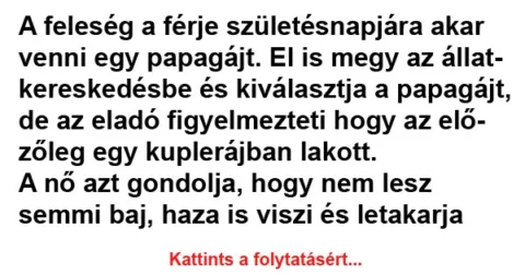 Vicc: A feleség a férje születésnapjára Vicc: A feleség a férje születésnapjára