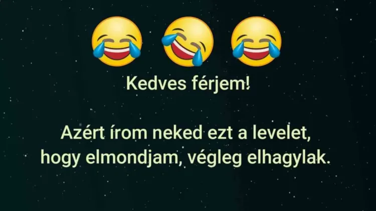 Vicc: A feleség üzenetben közli, hogy lelépett a férje bátyjával Vicc: A feleség üzenetben közli, hogy lelépett a férje bátyjával