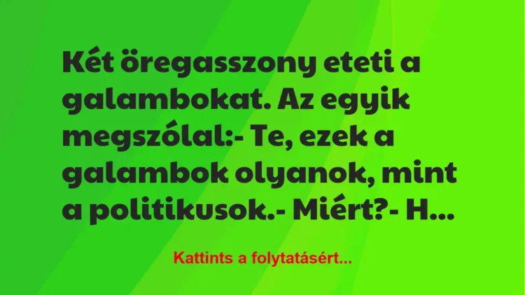 Vicc: A galambok pont olyanok, mint a politikusok