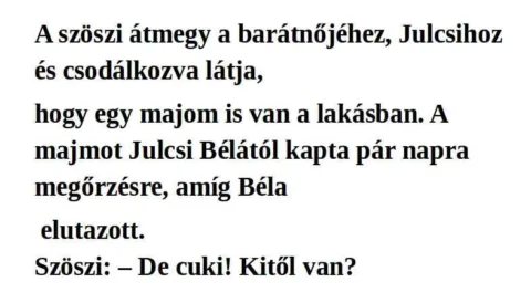 Vicc: A szöszi átmegy a barátnőjéhez