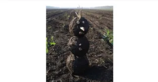 Vicc: Abból dolgozunk ami van