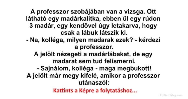 Vicc: Állatorvos hallgatók vizsgáznak ornitológiából Vicc: Állatorvos hallgatók vizsgáznak ornitológiából