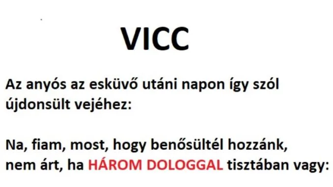 Vicc: Az anyós az esküvő utáni napon így szól újdonsült